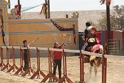 IMG_2015 