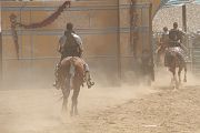 IMG_2264 
