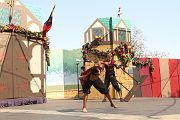 IMG_2662 