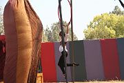 IMG_2942 