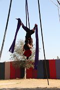 IMG_3019 