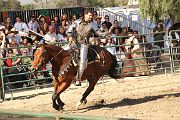 IMG_3288 