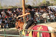 IMG_3319 