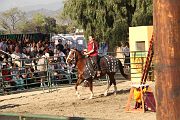 IMG_3320 