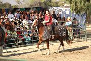IMG_3321 