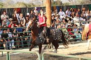 IMG_3324 