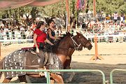 IMG_3329 