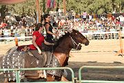 IMG_3330 