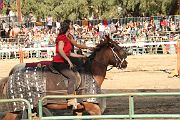 IMG_3331 