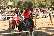 IMG_3337 
