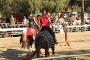 IMG_3339 