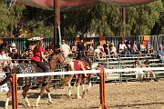 IMG_3347 