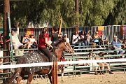 IMG_3348 