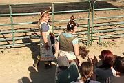 IMG_3375 