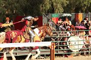 IMG_3410 