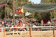 IMG_3436 