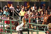 IMG_3501 