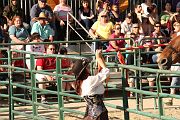 IMG_3502 