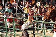 IMG_3503 