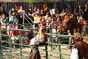IMG_3504 