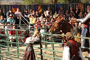 IMG_3505 