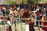 IMG_3506 