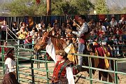 IMG_3511 
