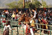 IMG_3512 