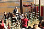 IMG_3516 