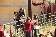 IMG_3519 