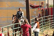 IMG_3520 