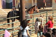 IMG_3533 