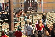 IMG_3534 