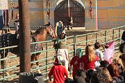 IMG_3535 