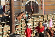 IMG_3536 