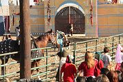 IMG_3537 