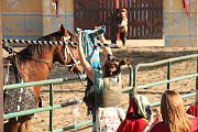 IMG_3538 