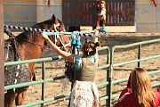 IMG_3539 