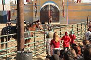 IMG_3541 