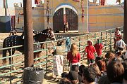 IMG_3542 