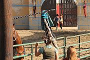 IMG_3546 