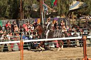 IMG_3550 