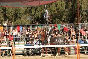 IMG_3552 