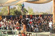 IMG_3555 