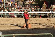 IMG_3753 