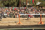 IMG_3800 