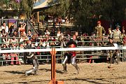IMG_3802 