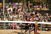 IMG_3806 