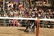 IMG_3807 