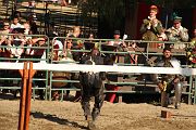 IMG_3838 